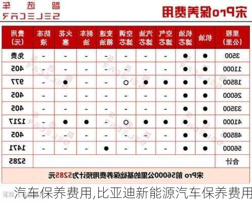 汽车保养费用,比亚迪新能源汽车保养费用