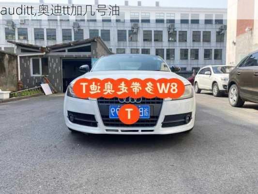 auditt,奥迪tt加几号油