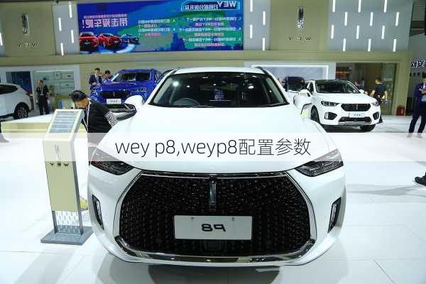 wey p8,weyp8配置参数