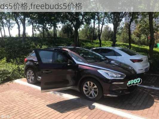 ds5价格,freebuds5价格