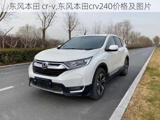 东风本田 cr-v,东风本田crv240价格及图片