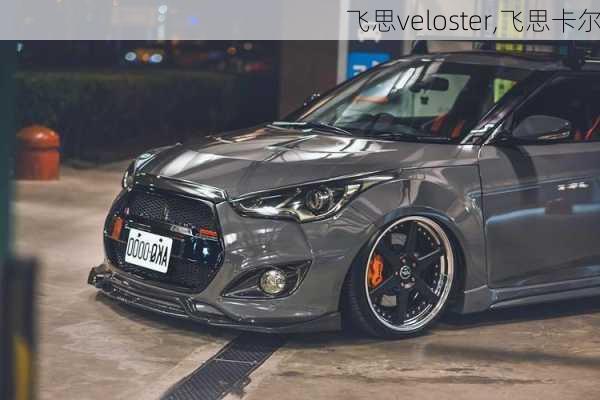 飞思veloster,飞思卡尔