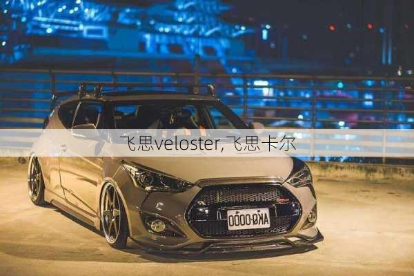 飞思veloster,飞思卡尔