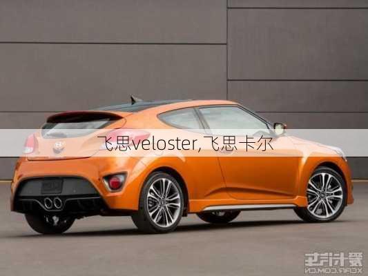 飞思veloster,飞思卡尔