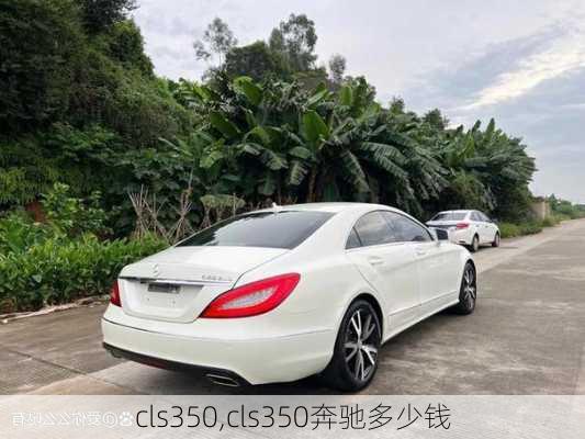 cls350,cls350奔驰多少钱