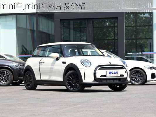 mini车,mini车图片及价格