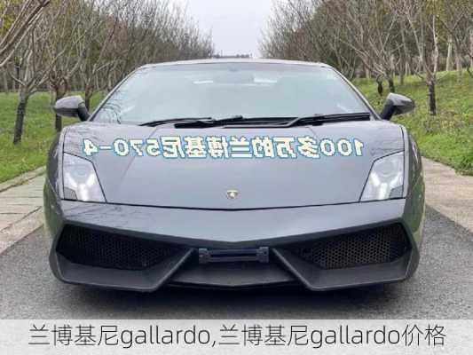 兰博基尼gallardo,兰博基尼gallardo价格