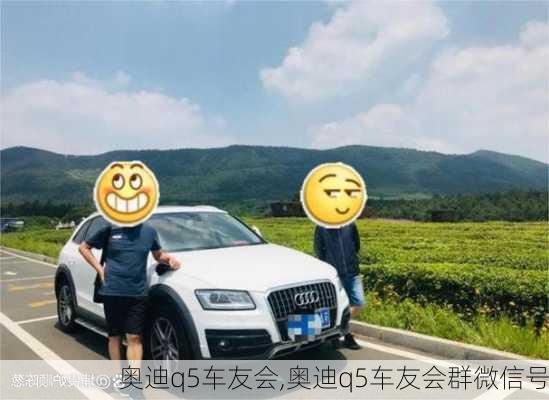 奥迪q5车友会,奥迪q5车友会群微信号