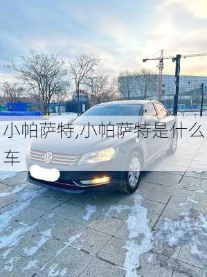 小帕萨特,小帕萨特是什么车