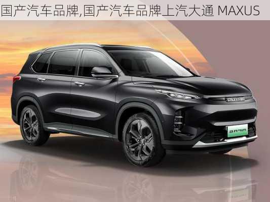 国产汽车品牌,国产汽车品牌上汽大通 MAXUS