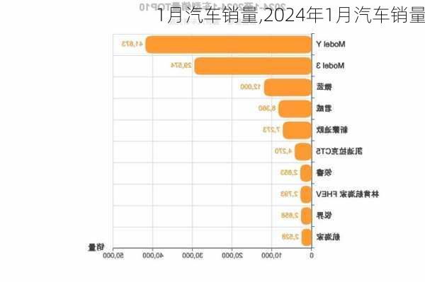 1月汽车销量,2024年1月汽车销量