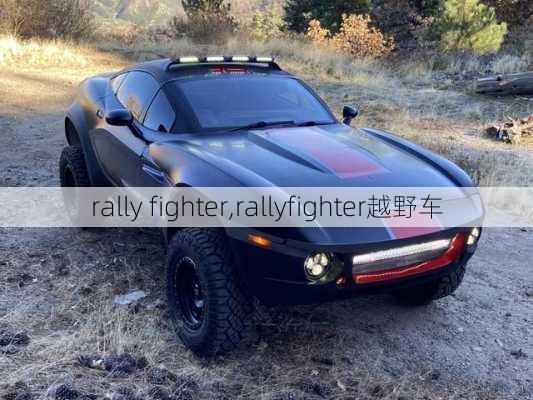 rally fighter,rallyfighter越野车