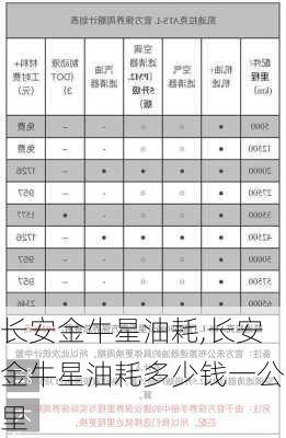 长安金牛星油耗,长安金牛星油耗多少钱一公里