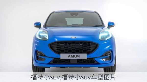 福特小suv,福特小suv车型图片