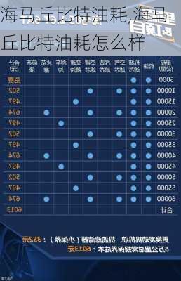 海马丘比特油耗,海马丘比特油耗怎么样