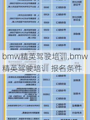 bmw精英驾驶培训,bmw精英驾驶培训 报名条件