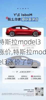 特斯拉model3涨价,特斯拉model3涨价了吗