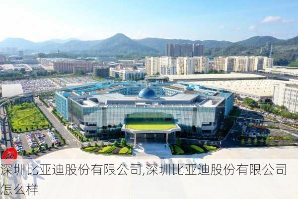 深圳比亚迪股份有限公司,深圳比亚迪股份有限公司怎么样