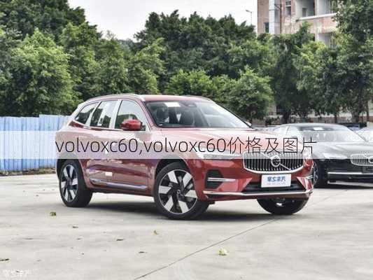 volvoxc60,volvoxc60价格及图片