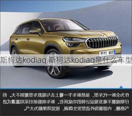 斯柯达kodiaq,斯柯达kodiaq是什么车型