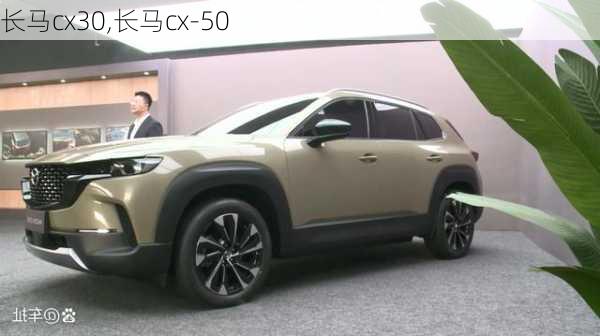 长马cx30,长马cx-50