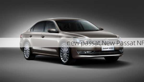 new passat,New Passat NF