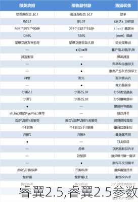 睿翼2.5,睿翼2.5参数