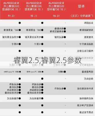 睿翼2.5,睿翼2.5参数