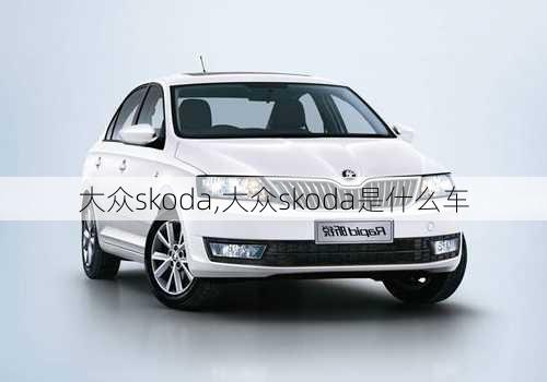 大众skoda,大众skoda是什么车