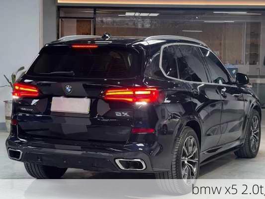 bmw x5 2.0t,