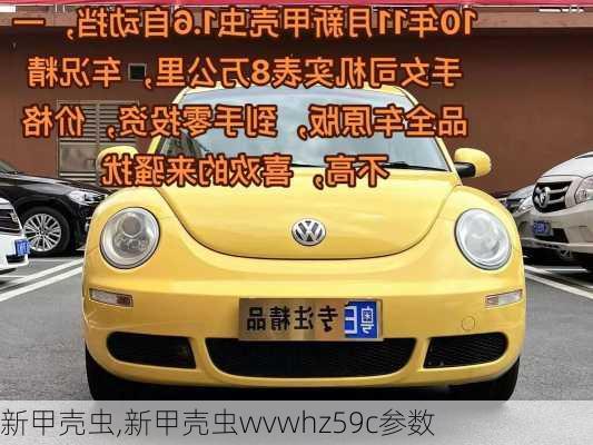 新甲壳虫,新甲壳虫wvwhz59c参数