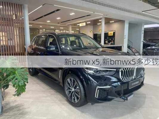 新bmw x5,新bmwx5多少钱