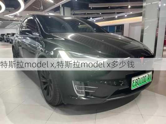 特斯拉model x,特斯拉model x多少钱