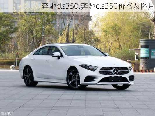 奔驰cls350,奔驰cls350价格及图片