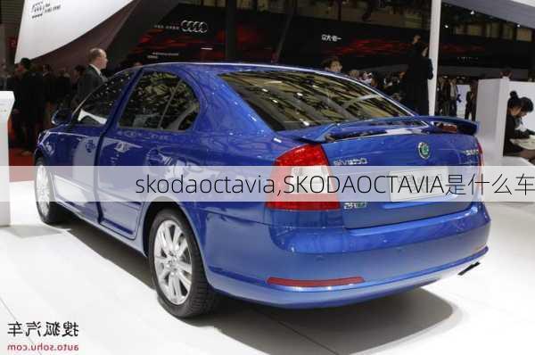 skodaoctavia,SKODAOCTAVIA是什么车