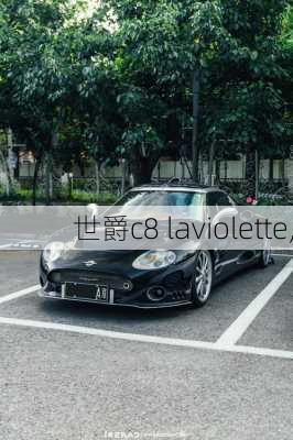 世爵c8 laviolette,