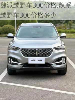 魏派越野车300价格,魏派越野车300价格多少