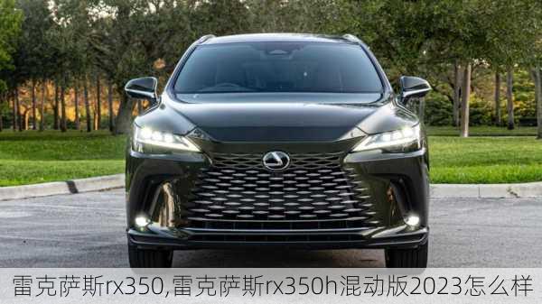 雷克萨斯rx350,雷克萨斯rx350h混动版2023怎么样