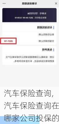 汽车保险查询,汽车保险查询在哪家公司投保的