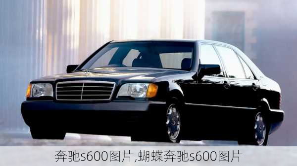 奔驰s600图片,蝴蝶奔驰s600图片