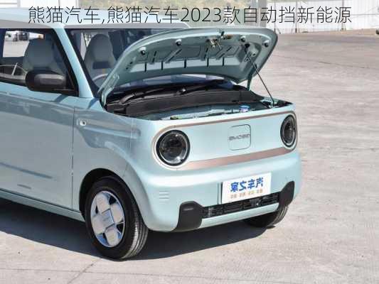 熊猫汽车,熊猫汽车2023款自动挡新能源