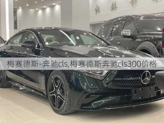 梅赛德斯-奔驰cls,梅赛德斯奔驰cls300价格