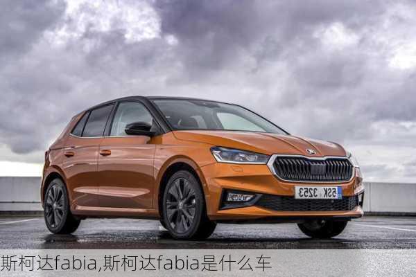 斯柯达fabia,斯柯达fabia是什么车