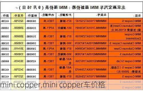 mini copper,mini copper车价格