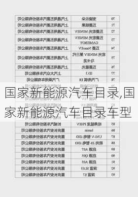 国家新能源汽车目录,国家新能源汽车目录车型