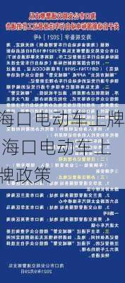 海口电动车上牌,海口电动车上牌政策