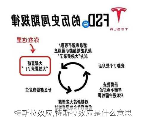 特斯拉效应,特斯拉效应是什么意思