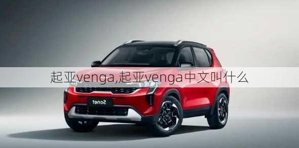 起亚venga,起亚venga中文叫什么