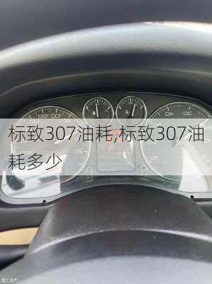 标致307油耗,标致307油耗多少