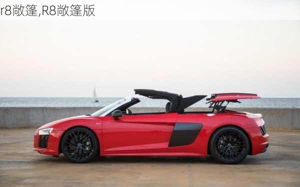 r8敞篷,R8敞篷版